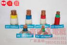 B V V 系列電纜 (含阻燃型、耐...